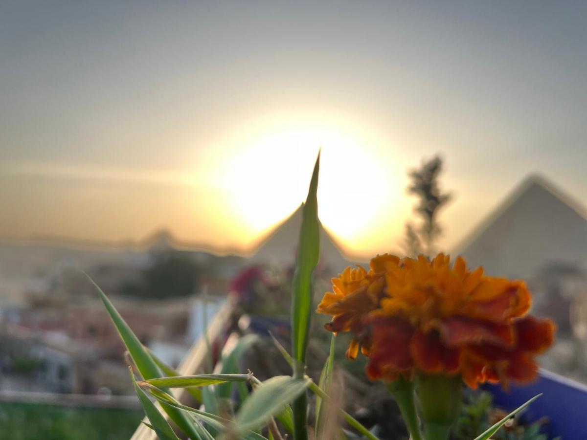 Pyramids Top Success Result Kafret el-Gabal Extérieur photo