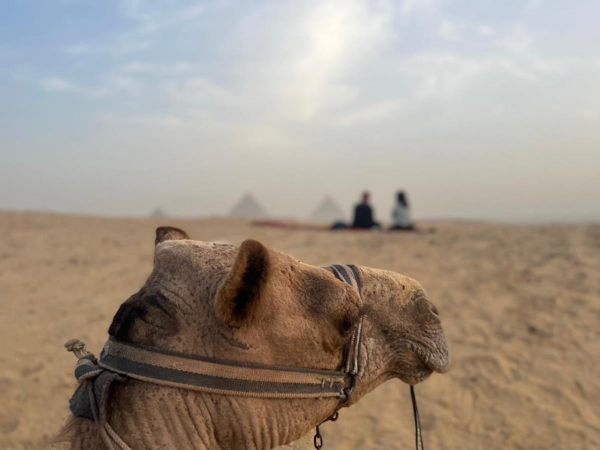Pyramids Top Success Result Kafret el-Gabal Extérieur photo